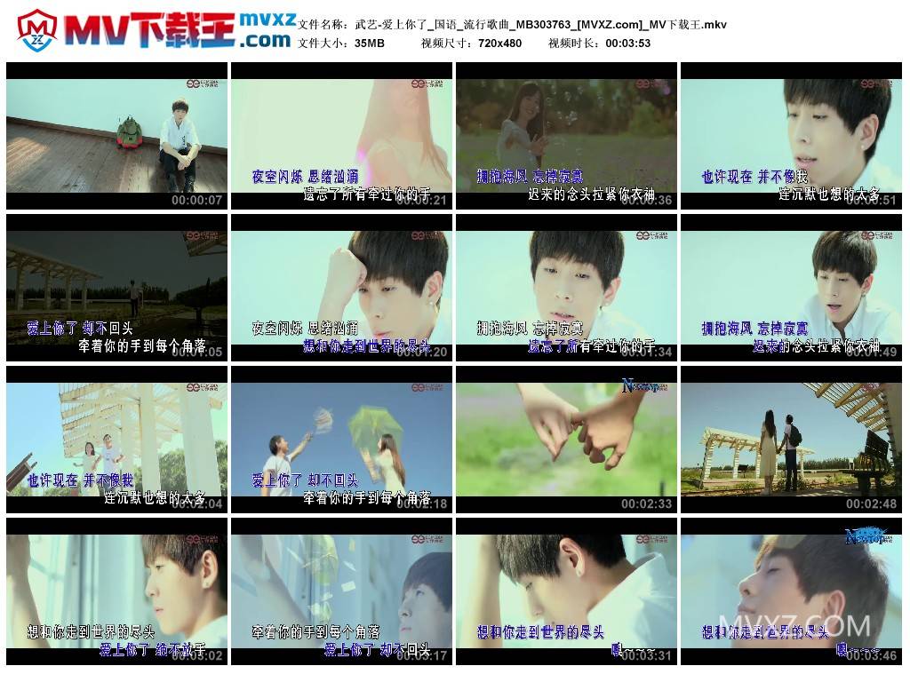 武艺-爱上你了_国语_流行歌曲_MB303763